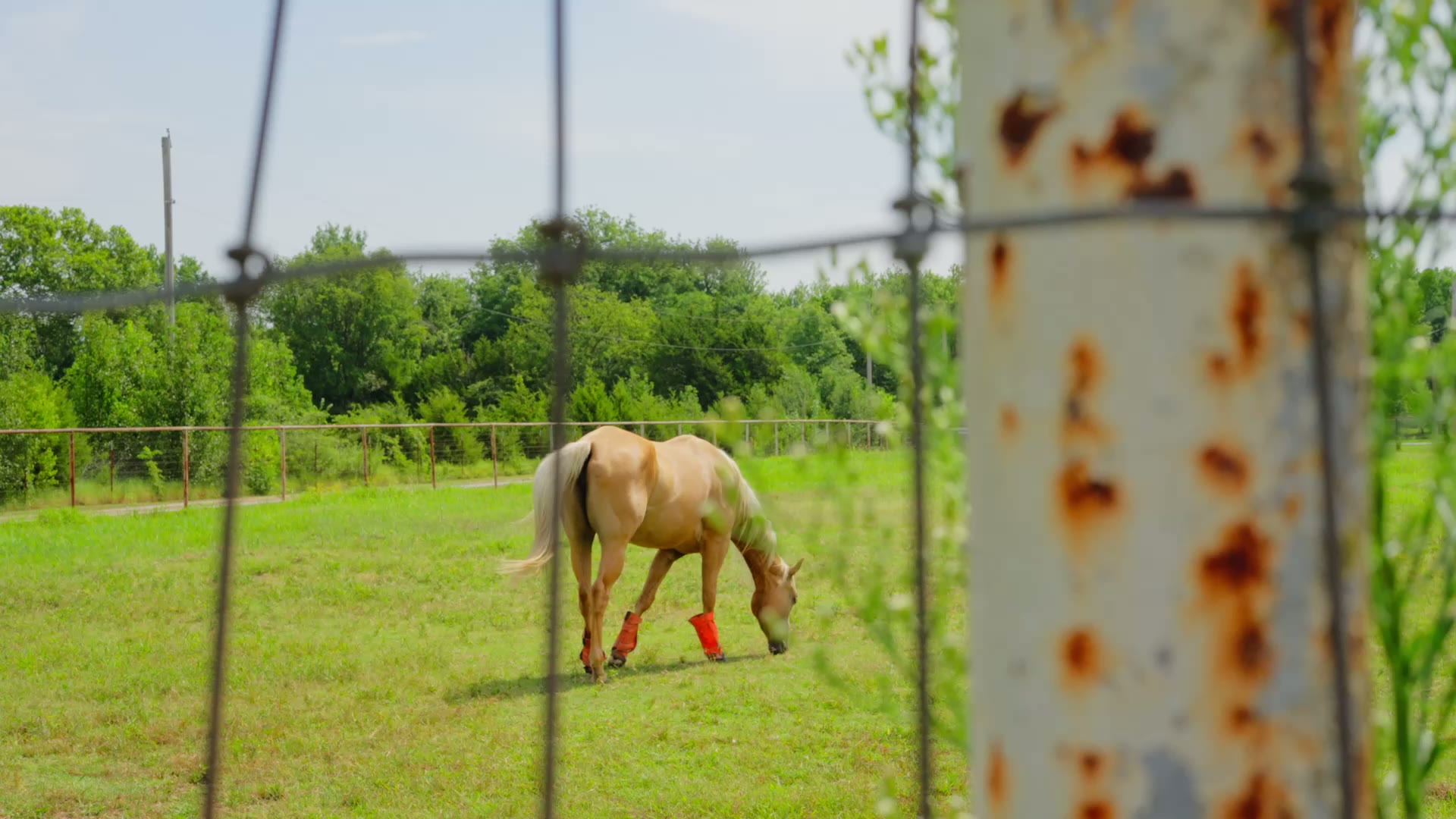 Frame from the property film showing the grounds in use